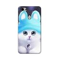 Chinese Cutie Kitten Cat Big Eyes Lovely