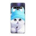 Chinese Cutie Kitten Cat Big Eyes Lovely