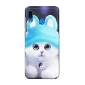 Chinese Cutie Kitten Cat Big Eyes Lovely