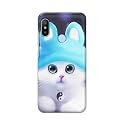 Chinese Cutie Kitten Cat Big Eyes Lovely