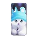 Chinese Cutie Kitten Cat Big Eyes Lovely