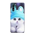 Chinese Cutie Kitten Cat Big Eyes Lovely