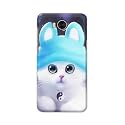 Chinese Cutie Kitten Cat Big Eyes Lovely