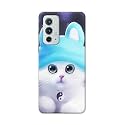 Chinese Cutie Kitten Cat Big Eyes Lovely