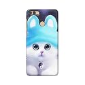 Chinese Cutie Kitten Cat Big Eyes Lovely