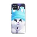 Chinese Cutie Kitten Cat Big Eyes Lovely
