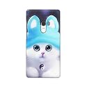 Chinese Cutie Kitten Cat Big Eyes Lovely