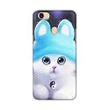 Chinese Cutie Kitten Cat Big Eyes Lovely