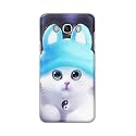 Chinese Cutie Kitten Cat Big Eyes Lovely