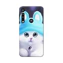Chinese Cutie Kitten Cat Big Eyes Lovely
