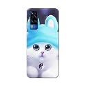 Chinese Cutie Kitten Cat Big Eyes Lovely