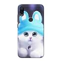 Chinese Cutie Kitten Cat Big Eyes Lovely