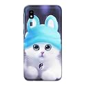 Chinese Cutie Kitten Cat Big Eyes Lovely