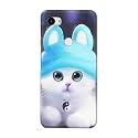 Chinese Cutie Kitten Cat Big Eyes Lovely