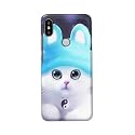 Chinese Cutie Kitten Cat Big Eyes Lovely