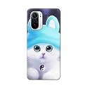 Chinese Cutie Kitten Cat Big Eyes Lovely