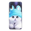 Chinese Cutie Kitten Cat Big Eyes Lovely