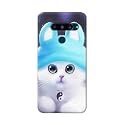Chinese Cutie Kitten Cat Big Eyes Lovely