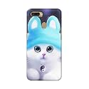 Chinese Cutie Kitten Cat Big Eyes Lovely