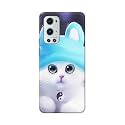 Chinese Cutie Kitten Cat Big Eyes Lovely