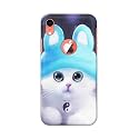 Chinese Cutie Kitten Cat Big Eyes Lovely
