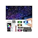 CHINLY 1000Pcs Split Starlight Headliner Kit, 4 Light Heads 0.02in 4.92ft RGBW Star Lights for Car, 16W Starlight Kit APP/Remote Control, Flexible Wiring for Car Roof Ceiling