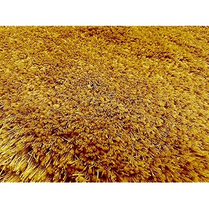 hand woven shaggy rectangular carpet for hall with 2 inch pile height 3x5 feet gold  rug for living room amp bedroom  galicha for hall  room mats for floor bedroom 90x150 cm
