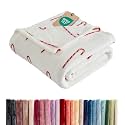 Christmas Fleece Blanket Twin Size - Flannel Throw - Candy Canes, 60x80