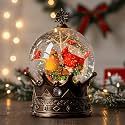 Christmas Snow Globe Lantern Water Glittering Cardinal Crown with Music, USB Lined/Battery Operated Lighted Lantern for Christmas Festival Decoration Gifts