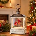 Christmas Snow Globe Water Glittering Cardinal Scene with Music &amp; Timer, USB Lined/Battery Operated Lighted Lantern for Christmas Festival Decoration Gifts