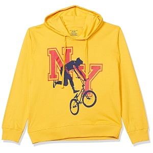 Chromozome Boys Cotton Hooded Neck Hoodies
