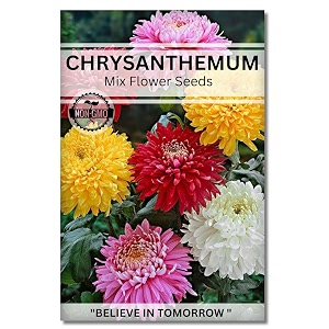 navika seeds  grow with us chrysanthemum flower seeds for home gardening perfect for terrace gardening winter and summer blooms in india - includes free e-book