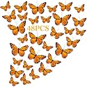 Chuangdi 48 Pcs Feather Monarch Butterfly Decorations, 3 Sizes, Orange