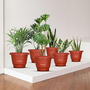 cinagro 55-inch round bottom trays pack of 6 fits 6 inch round pots