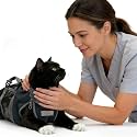 Cinf Cat Nail Clipping Cleaning Grooming Restraint Bag No Scratching Biting for Bathing Nail Trimming Injecting Examining(Black,S)