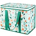 Insulated Reusable Grocery Shopping Bags, X-Large Cooler Bag, 1-Pack