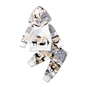 CIYCUIT 2Pcs Baby Boys Hoodie Tops Pants Set Dinosaur Deer Print Sweatsuit Fall Winter Outfits