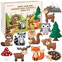CiyvoLyeen Woodland Animal Sewing Kit for Ages 8-12 Felt Sewing Craft 12Pcs