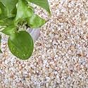 CJGQ 18lb Aquarium Gravel for Plants, 1/5Inch Outdoor Decorative River Rocks for Succulents and Cactus Landscaping, Garden Plant Natural Small Pea Gravel for Fish Tank Vases Terrarium