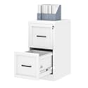 Ckzbx 2 Drawer File Cabinet with Lock, Narrow Vertical Filing Cabinet, Under Desk File Cabinets,White Metal Dresser Cabinets for Home Office,Fit Letter/A4/Legal Size File