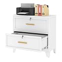 Ckzbx Metal 2 Drawers Locker Storage Organizer, 33.46" H White Drawer Chest, Closet Organizers for Living Room, Hallway, Closet