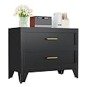 Ckzbx Metal Dresser Under Desk Metal Filing Cabinets, 24.8" H Drawer Chests of Drawers for Office, Garage (2 Drawers Black 31.5 inch Wide)
