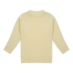 clap boys girls full sleeves round neck acrylic winter sweater woolen warm skivi