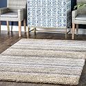 Classie Ombre Pattern Shag Area Rug 8X10