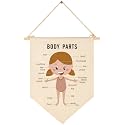 Classroom Wall Banner Decor-Teacher Supplies Gift-Inspirational Back to School Wall Educational Flag-Motivational Quote-Hanging Canvas Pennant Sign for Classroom-Girl,Body Parts Educational