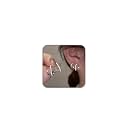Claw Earrings for Women Dainty Gold Silver Zircon Cuff Earrings Four Claw Half Hoop Stud Earring Minimalist Huggie Ear Wrap Piercing For Birthday Valentine's Day Christmas Gifts