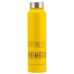 clay craft vacbott happiness is single walled non insulated water bottle 1000ml yellow