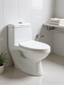 clayplus P-TRAP CERAMIC ONE PIECE WESTERN TOILET COMMODE WITH SEAT COVER Western Commode (WHITE)