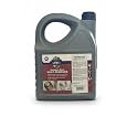 CLEAN MY STEEL Stainless Steel Rust Remover Industrial Cleaner 5L