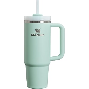 the clean slate quencher h20 flowstate tumbler  30 oz - stanley create mint